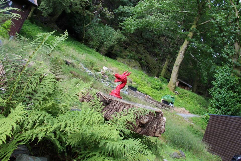 Bryn Dinas Pods At The Foot Of Mt Snowdon Camping Beddgelert